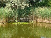 Eladó családi ház, Herceghalomon 439.9 M Ft, 5 szobás