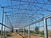 Eladó mezogazdasagi ingatlan, Csabaszabadiban 59 M Ft