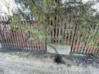 Eladó telek, Ballószögön 25.9 M Ft / költözzbe.hu