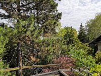 Eladó telek, III. kerületben 45 M Ft / költözzbe.hu