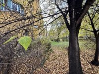 Eladó téglalakás, XIII. kerületben 75 M Ft, 2 szobás