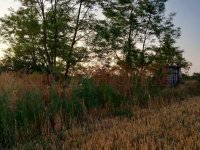 Eladó mezogazdasagi ingatlan, Balatonszabadiban 28 M Ft