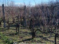 Eladó telek, Aranyosgadányban 2.9 M Ft / költözzbe.hu