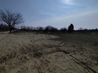 Eladó telek, Dunaharasztin 54.9 M Ft / költözzbe.hu