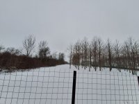 Eladó telek, Bicskén 9.5 M Ft / költözzbe.hu