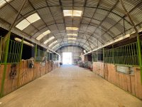 Kiadó családi ház, albérlet, Fertőszentmiklóson 790 E Ft / hó