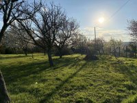 Eladó mezogazdasagi ingatlan, Várpalotán 14.9 M Ft