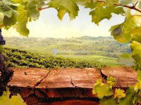 Eladó családi ház, Siklóson 349 M Ft, 6 szobás