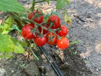 Eladó telek, Bőnyön 14.5 M Ft / költözzbe.hu