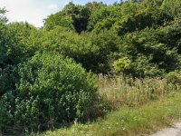 Eladó telek, Bükön 180 M Ft / költözzbe.hu