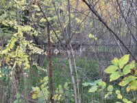 Eladó telek, Kecskeméten 22 M Ft / költözzbe.hu