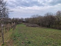 Eladó mezogazdasagi ingatlan, Balatonalmádiban 15 M Ft