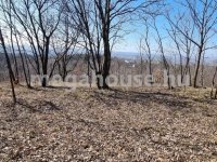 Eladó telek, Biatorbágyon 11 M Ft / költözzbe.hu