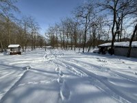 Eladó mezogazdasagi ingatlan, Szabadszálláson 20 M Ft, 3 szobás