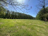 Eladó családi ház, Bárdudvarnokon 82.5 M Ft, 2 szobás