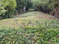 Eladó telek, III. kerületben 45 M Ft / költözzbe.hu