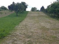 Eladó telek, Vértessomlón 7 M Ft / költözzbe.hu