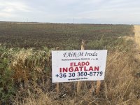 Eladó mezogazdasagi ingatlan, Maroslelén 6.95 M Ft