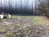 Eladó mezogazdasagi ingatlan