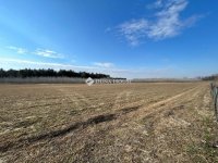 Eladó mezogazdasagi ingatlan, Bugacon 170 M Ft