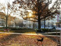 Eladó téglalakás, VIII. kerületben 93 M Ft, 3 szobás