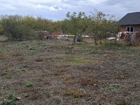 Eladó telek, Dánszentmiklóson 9.5 M Ft / költözzbe.hu