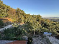 Eladó telek, Szentendrén 20 M Ft / költözzbe.hu