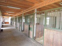 Eladó mezogazdasagi ingatlan, Lajosmizsén 307.5 M Ft