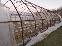 Eladó mezogazdasagi ingatlan, Délegyházán 180 M Ft