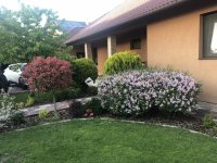 Eladó családi ház, Dunakeszin 255 M Ft, 5 szobás