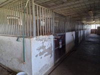 Eladó családi ház, Cegléden 135 M Ft, 1 szobás