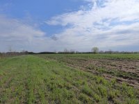 Eladó mezogazdasagi ingatlan, Szatymazon 3.2 M Ft