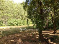 Eladó mezogazdasagi ingatlan, Jászberényben 16.5 M Ft, 2 szobás