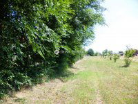 Eladó telek, Gárdonyban 14.8 M Ft / költözzbe.hu