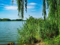 Eladó téglalakás, Keszthelyen 54.9 M Ft, 2 szobás