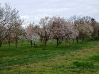 Eladó telek, Balatongyörökön 36.5 M Ft / költözzbe.hu