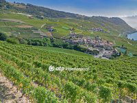 Eladó mezogazdasagi ingatlan