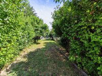 Eladó családi ház, Pécsett 120 M Ft, 6 szobás