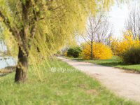 Eladó telek, Hajdúszoboszlón 3300 M Ft / költözzbe.hu