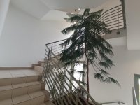 Kiadó téglalakás, albérlet, XI. kerületben 280 E Ft / hó