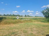 Eladó mezogazdasagi ingatlan