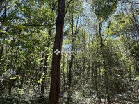 Eladó ikerház, Gárdonyban 69.9 M Ft, 4 szobás