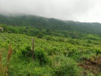Eladó mezogazdasagi ingatlan, Csókakőn 8.8 M Ft