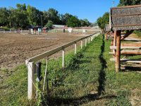 Eladó nyaraló, Dunaharasztin 51.9 M Ft, 1+1 szobás