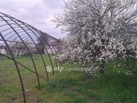 Eladó mezogazdasagi ingatlan, Nagybánhegyesen 15 M Ft