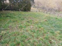 Eladó telek, Zalaegerszegen 4.9 M Ft / költözzbe.hu