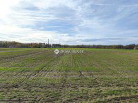 Eladó ipari ingatlan, Farmoson 9.9 M Ft / költözzbe.hu