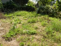 Eladó családi ház, XVII. kerületben 76.9 M Ft, 3 szobás