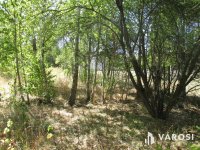 Eladó mezogazdasagi ingatlan, Balassagyarmaton 2.9 M Ft