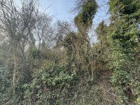 Eladó mezogazdasagi ingatlan, Nyúlon 16.9 M Ft